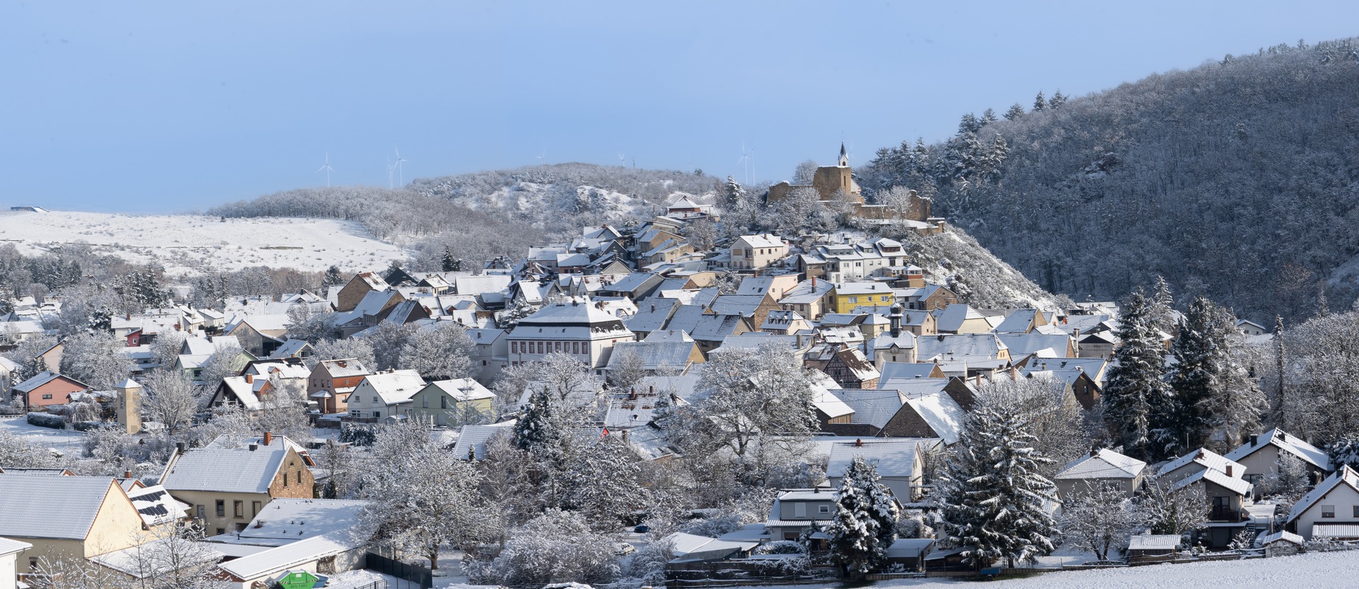 Händlerprofil Headerbild
